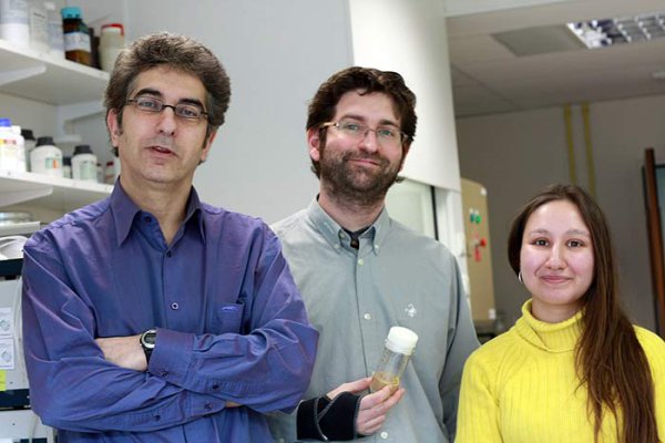De gauche à droite, Serge Birman (directeur), Thomas Riemensperger (post-doctorant) et Marlène Cassar (doctorante), du laboratoire de Neurobiologie, ont co-signé cette publication scientifique. Crédits : ESPCI ParisTech